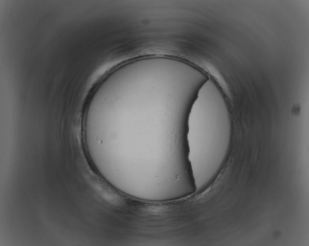 X0000096641035200802050953