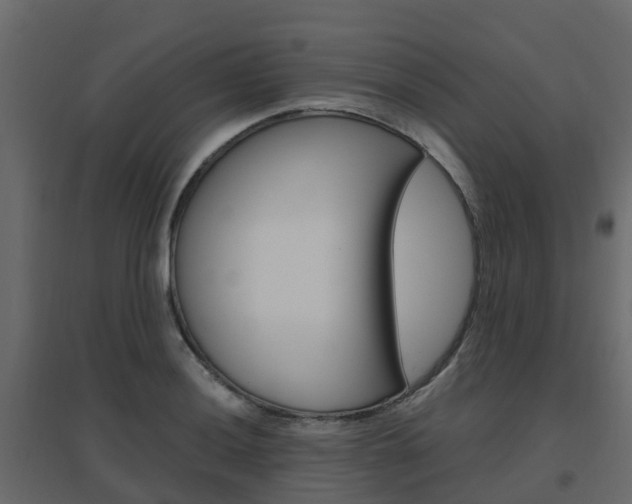 X0000096641036200802050953