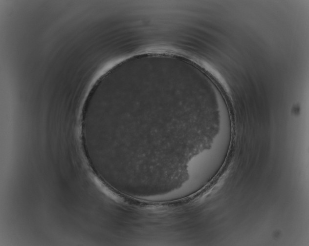 X0000096641037200802050953