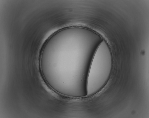 X0000096641038200802050953