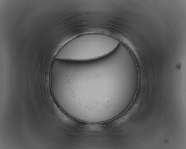 X0000096641041200802050953