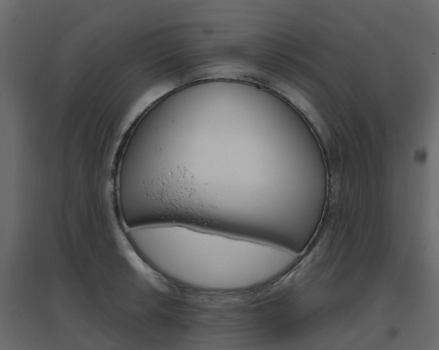 X0000096641042200802050953