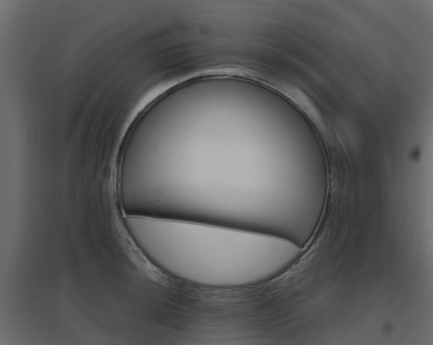 X0000096641044200802050953