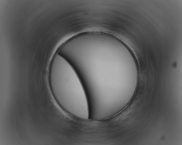 X0000096641045200802050953