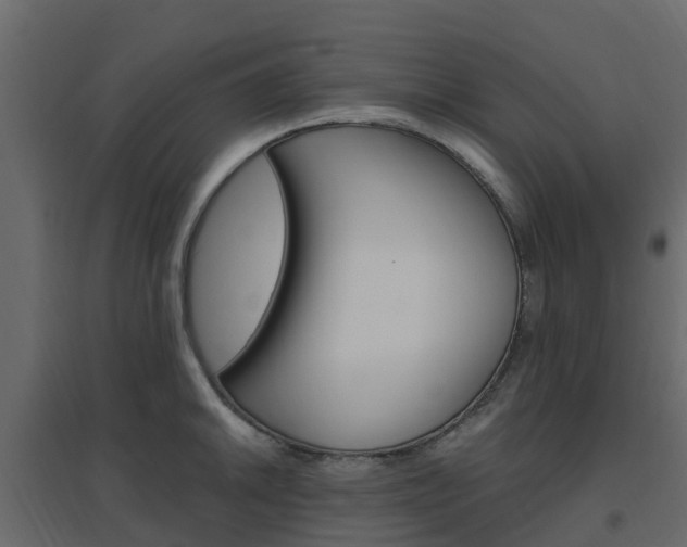X0000096641046200802050953