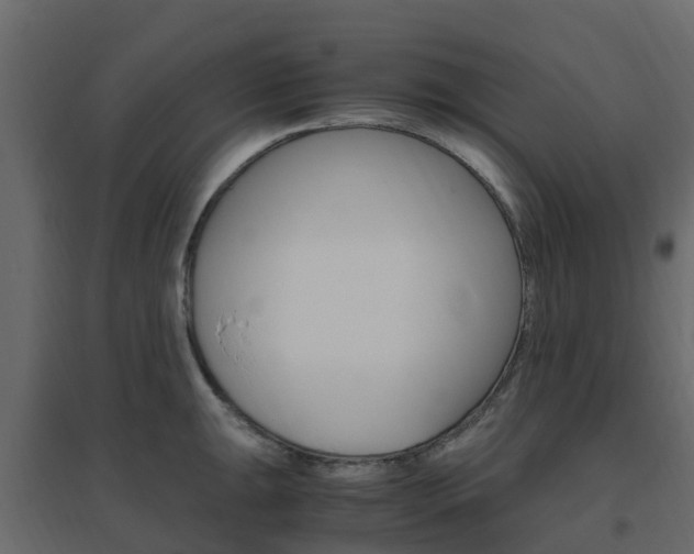 X0000096641047200802050953