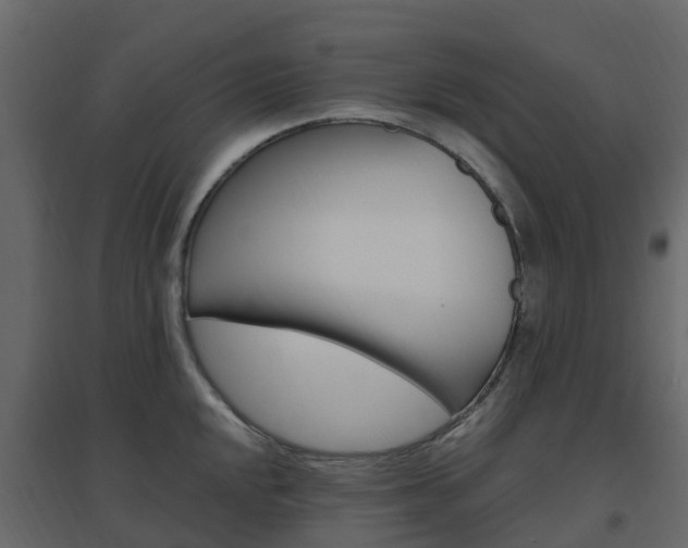 X0000096641048200802050953