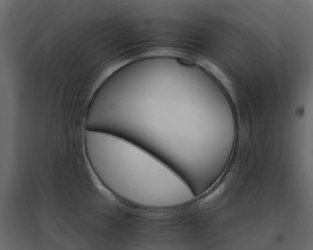 X0000096641049200802050953