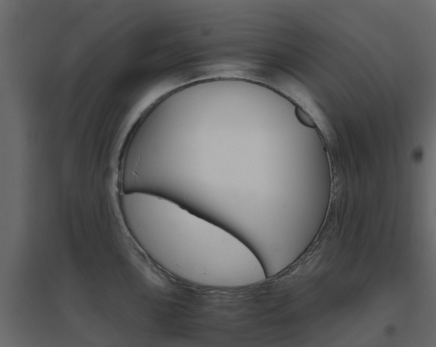 X0000096641051200802050953