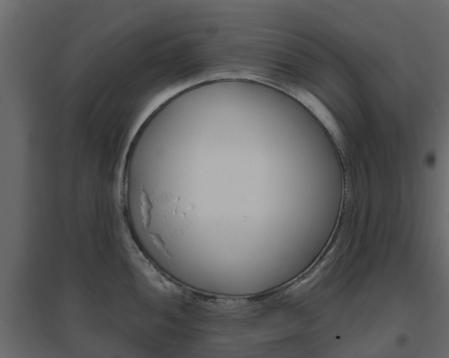 X0000096641052200802050953