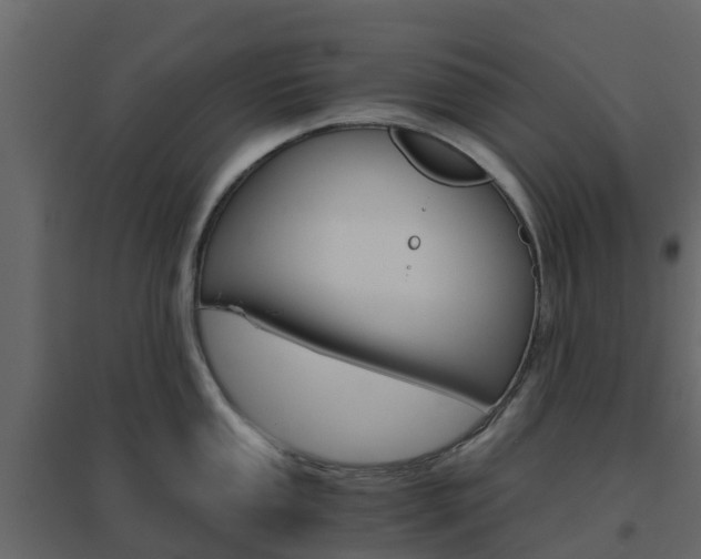 X0000096641053200802050953