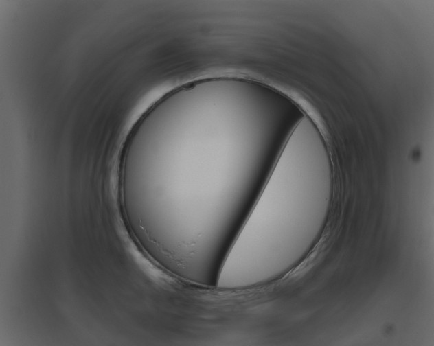 X0000096641054200802050953