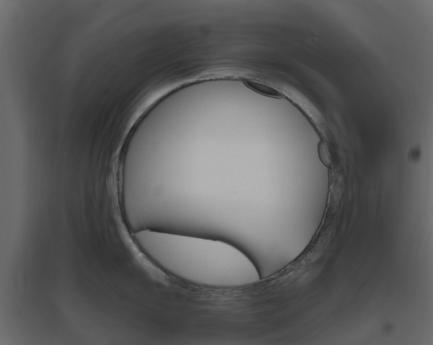 X0000096641055200802050953