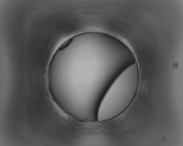X0000096641056200802050953