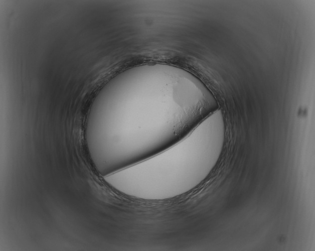 X0000096641058200802050952
