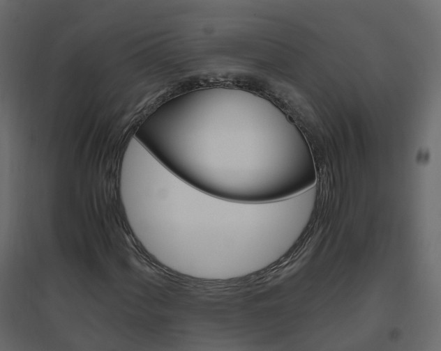 X0000096641060200802050952