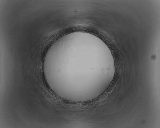 X0000096641061200802050952