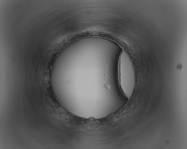 X0000096641062200802050952