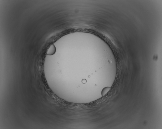 X0000096641063200802050952