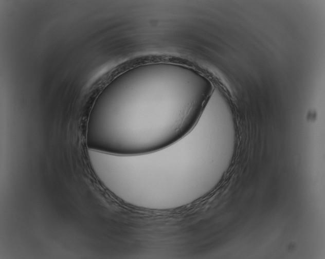 X0000096641064200802050952