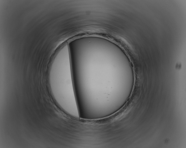 X0000096641065200802050952