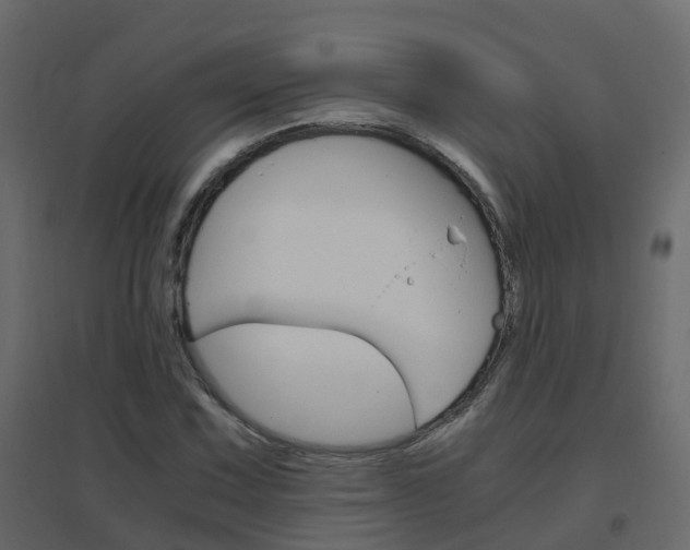 X0000096641067200802050952