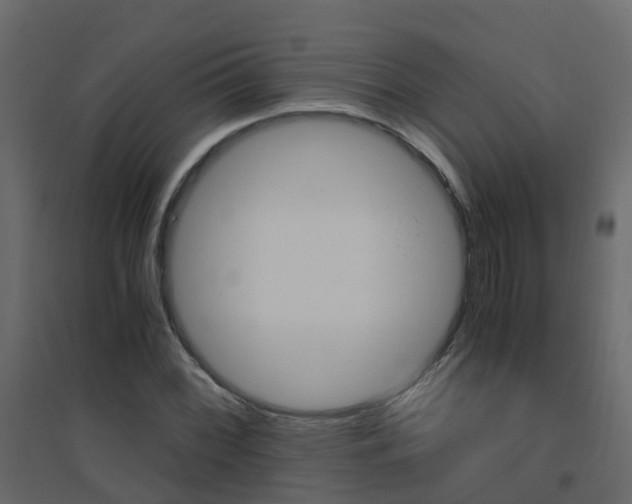 X0000096641068200802050952
