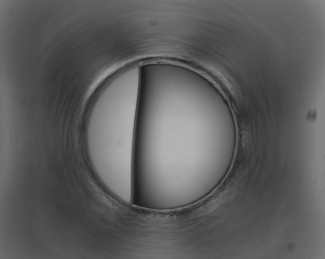 X0000096641069200802050952