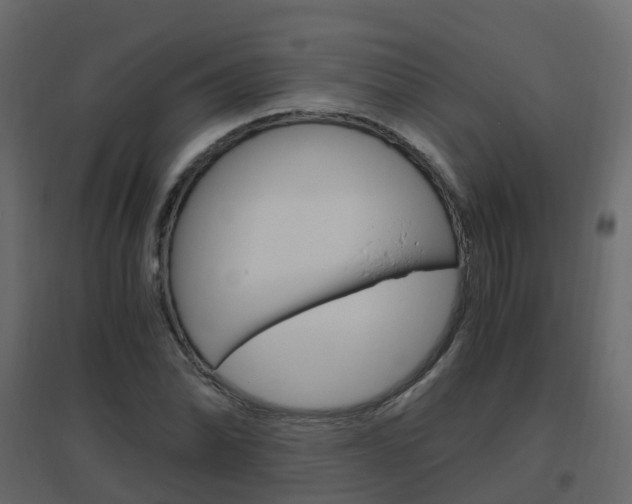 X0000096641070200802050952