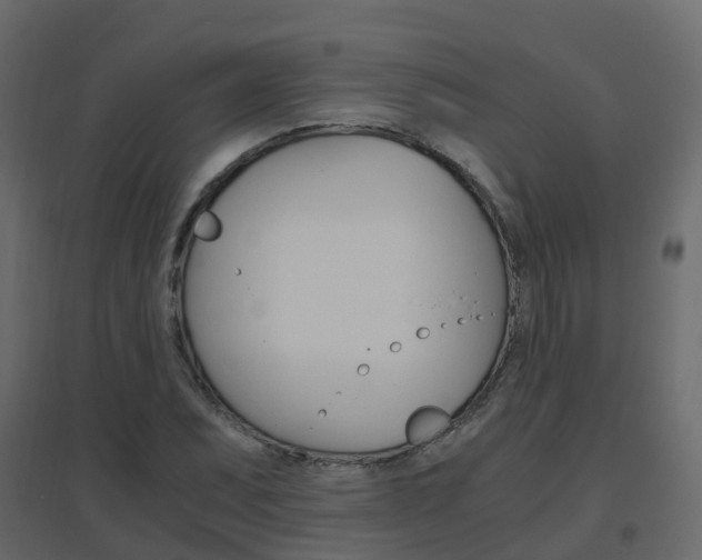 X0000096641071200802050952