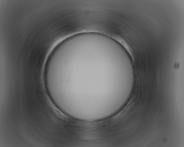 X0000096641072200802050952