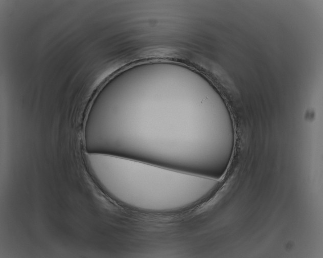X0000096641073200802050952
