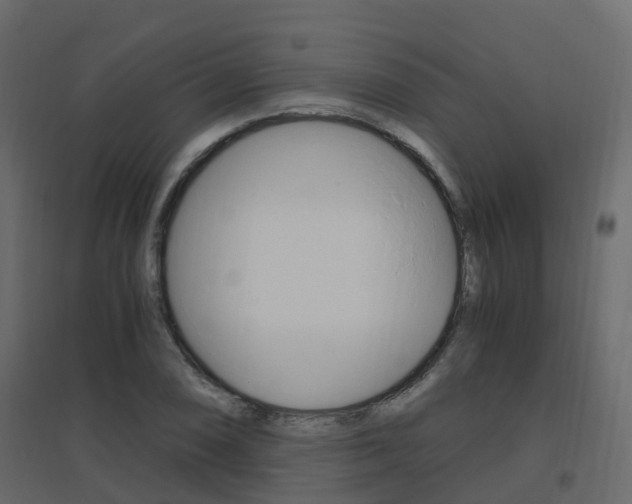 X0000096641074200802050952
