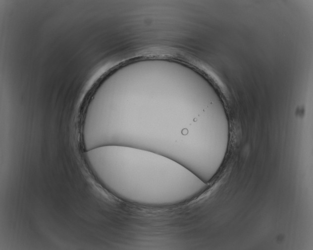 X0000096641075200802050952