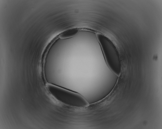 X0000096641076200802050952