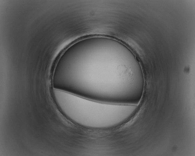 X0000096641077200802050952