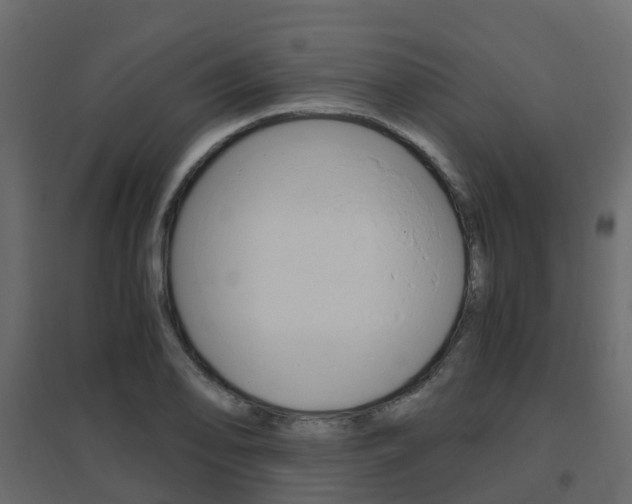 X0000096641078200802050952