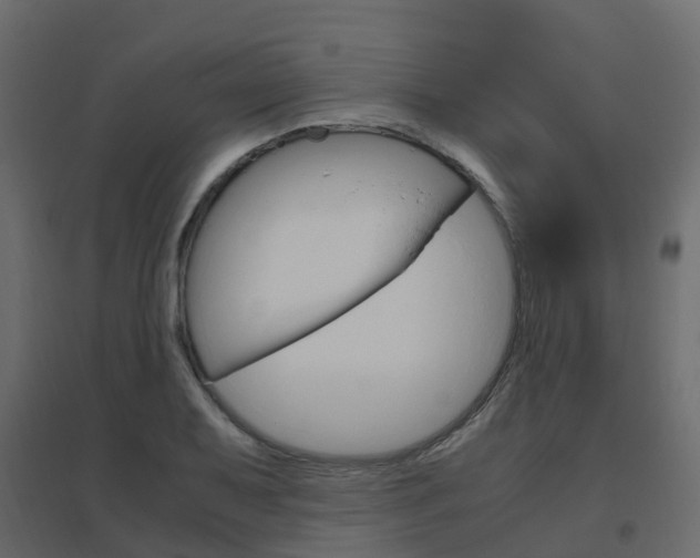 X0000096641079200802050952