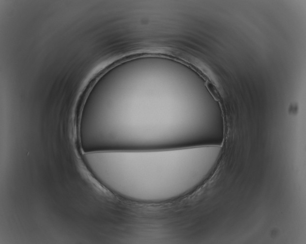 X0000096641080200802050952