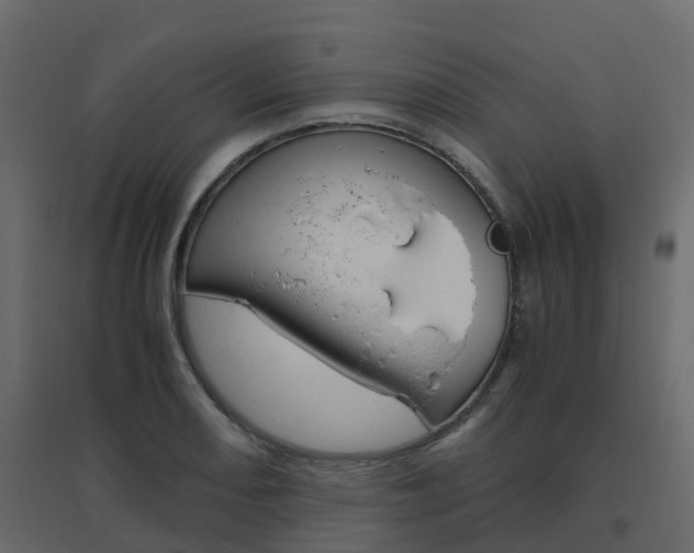 X0000096641082200802050952