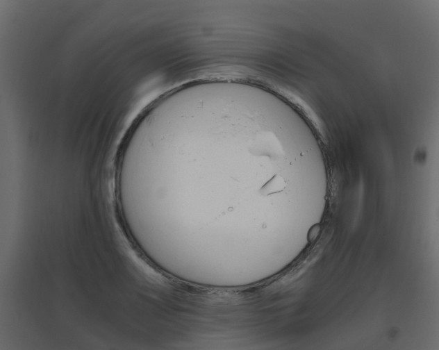 X0000096641083200802050952
