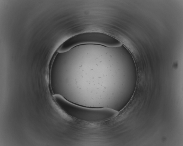 X0000096641084200802050952
