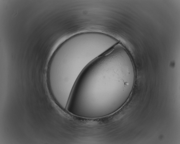 X0000096641085200802050952