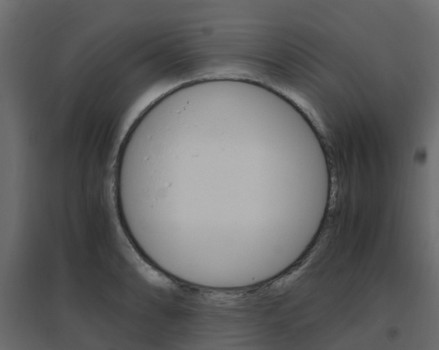 X0000096641086200802050952