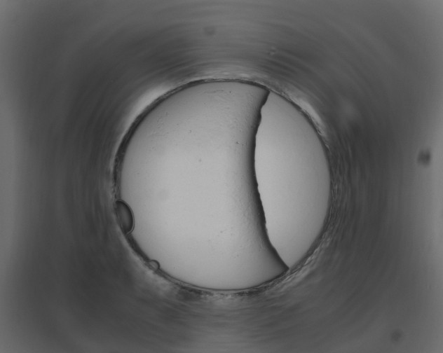 X0000096641087200802050952