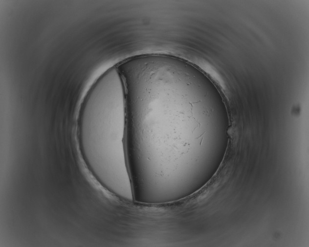 X0000096641088200802050952