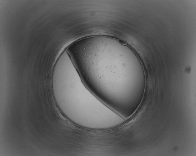 X0000096641089200802050952