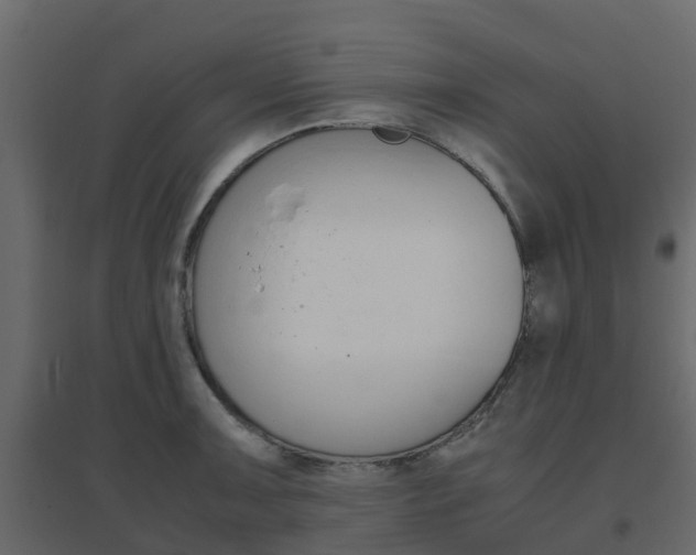 X0000096641091200802050952
