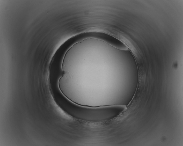 X0000096641092200802050952