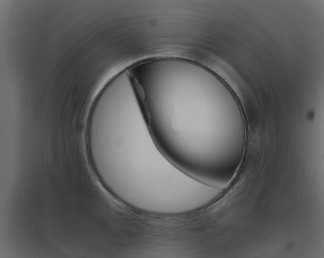 X0000096641093200802050952